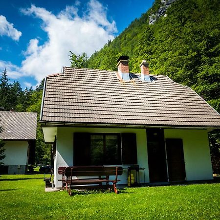Villa Pocitniska Hisa Radovna Zgornja Radovna Exterior foto