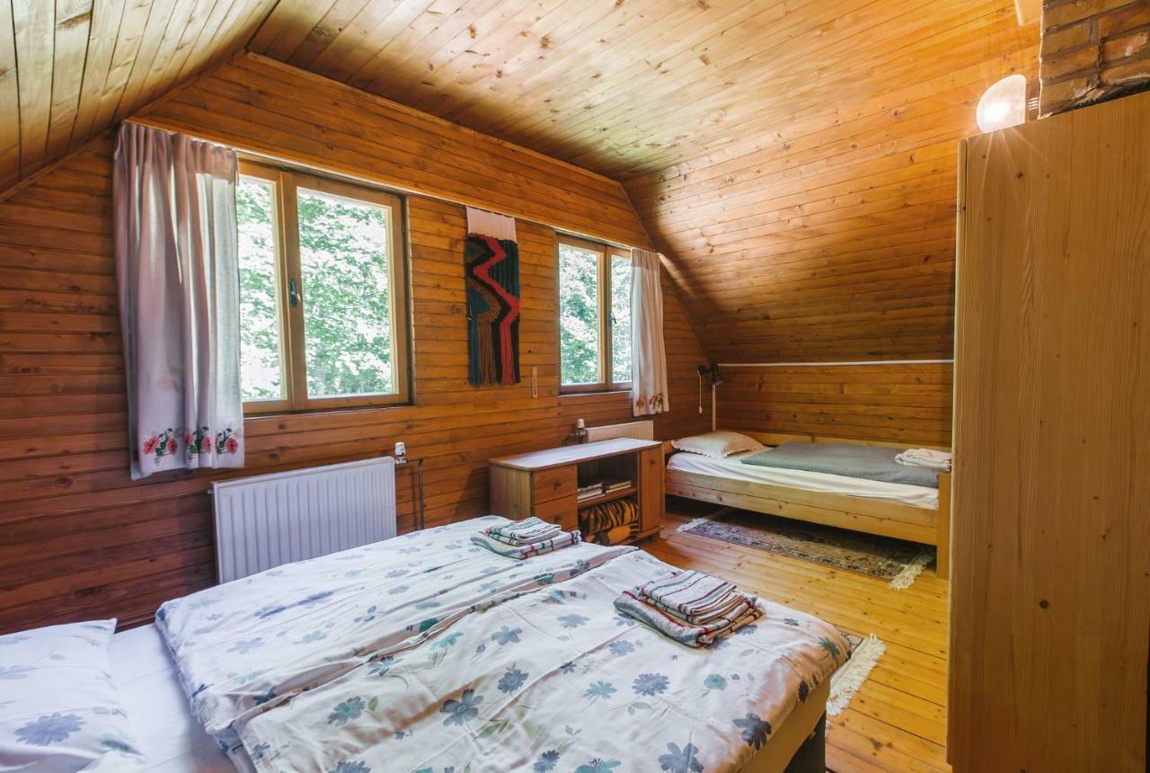 Villa Pocitniska Hisa Radovna Zgornja Radovna Exterior foto